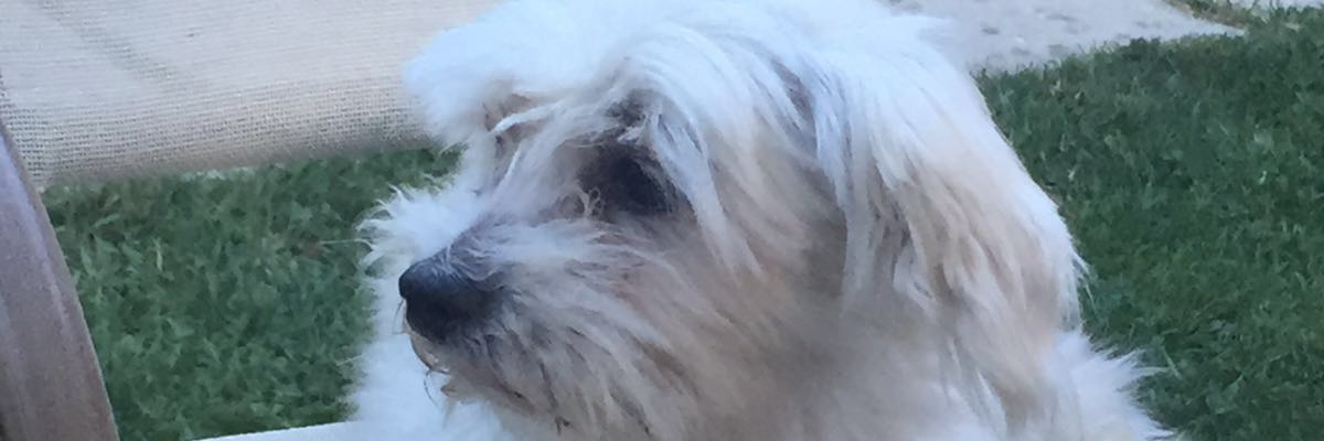 msoledadrc's profile banner image