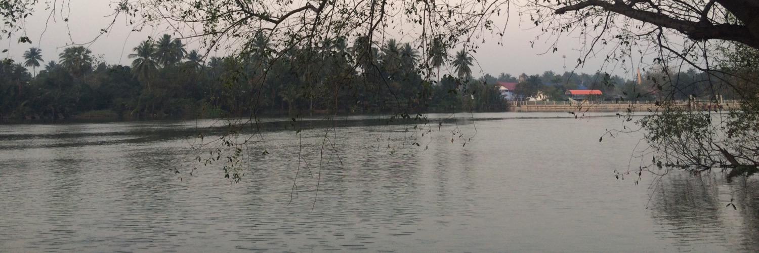 yingvimonwan's profile banner image