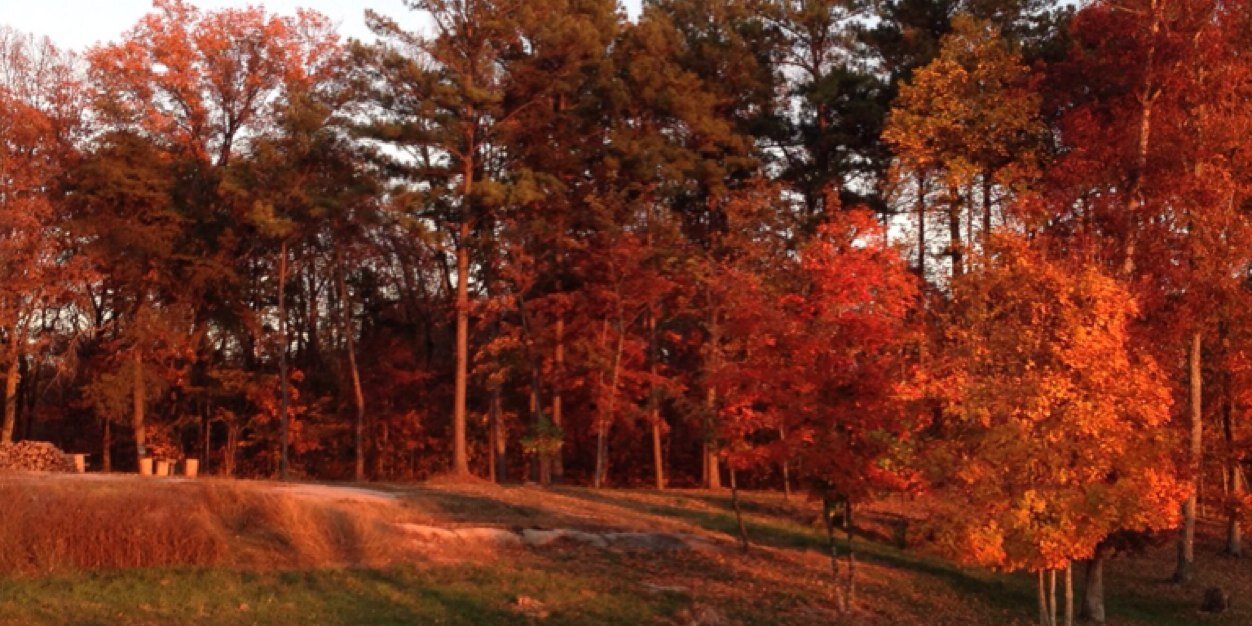 MMaxminor's profile banner image