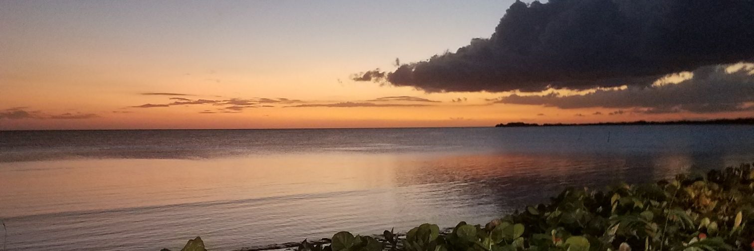 israelsrivera's profile banner image