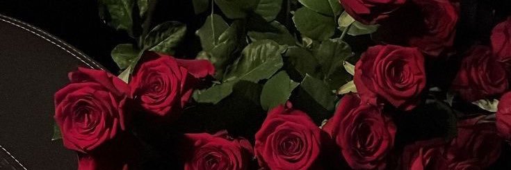theeedithQ's profile banner image