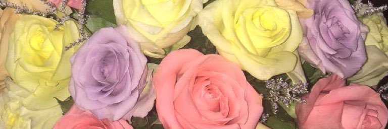 tenymouse's profile banner image