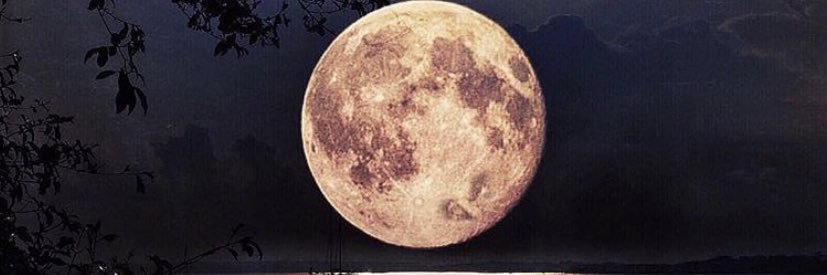 kingadam29's profile banner image