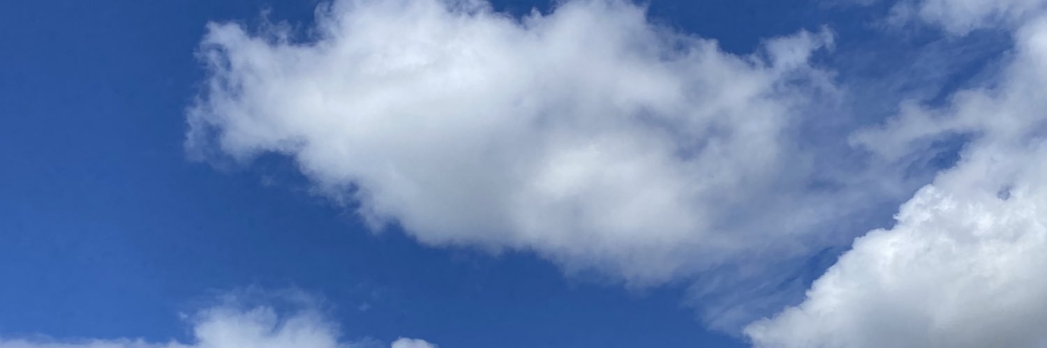 annelling's profile banner image