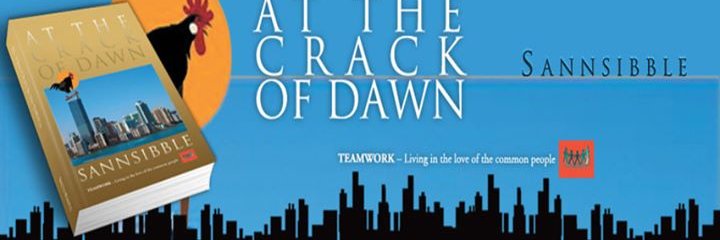 Dr. Sannsibble® banner