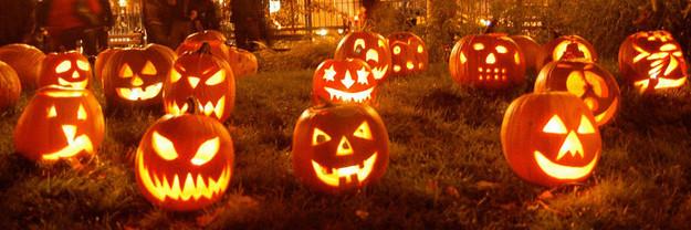 Tiffanie Wilkerson banner