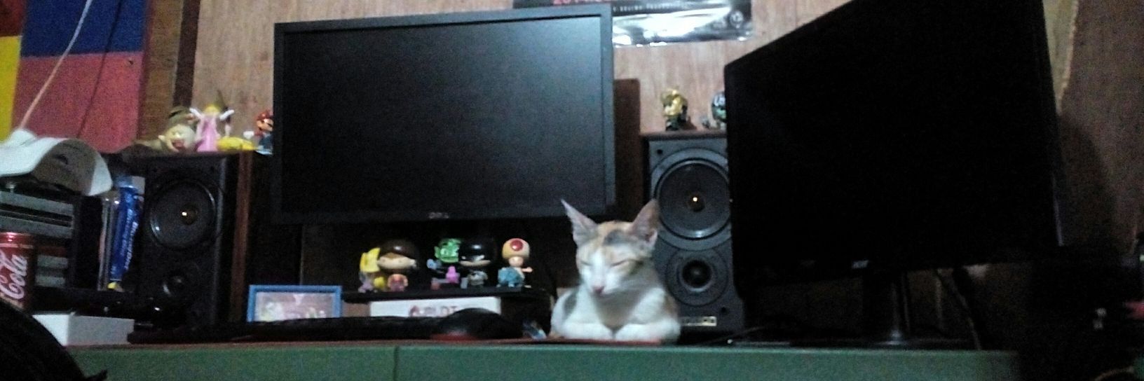 juantwothreego's profile banner image