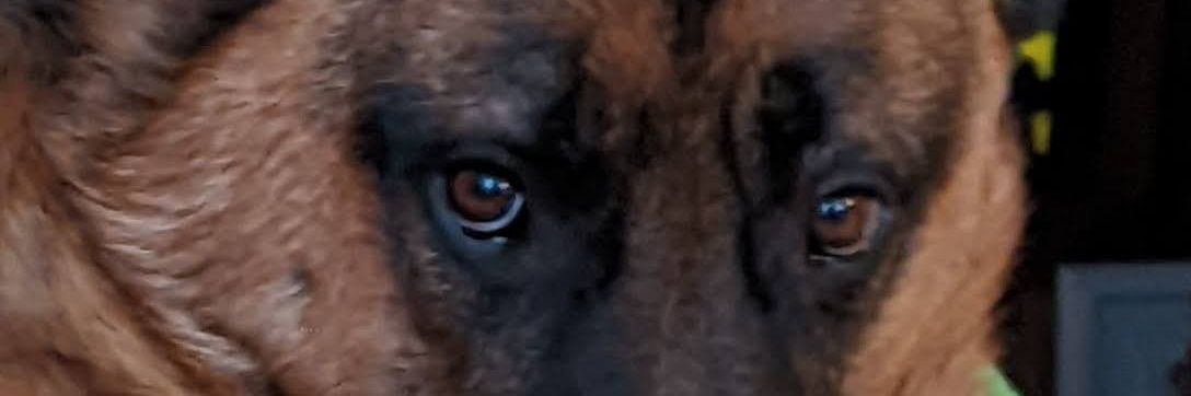 Kimberly Stasiak Towers banner