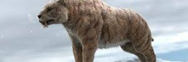 Saulsant1 Profile Banner