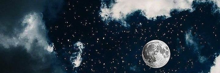 chinonk's profile banner image