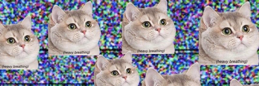 DogDaysAreOver banner