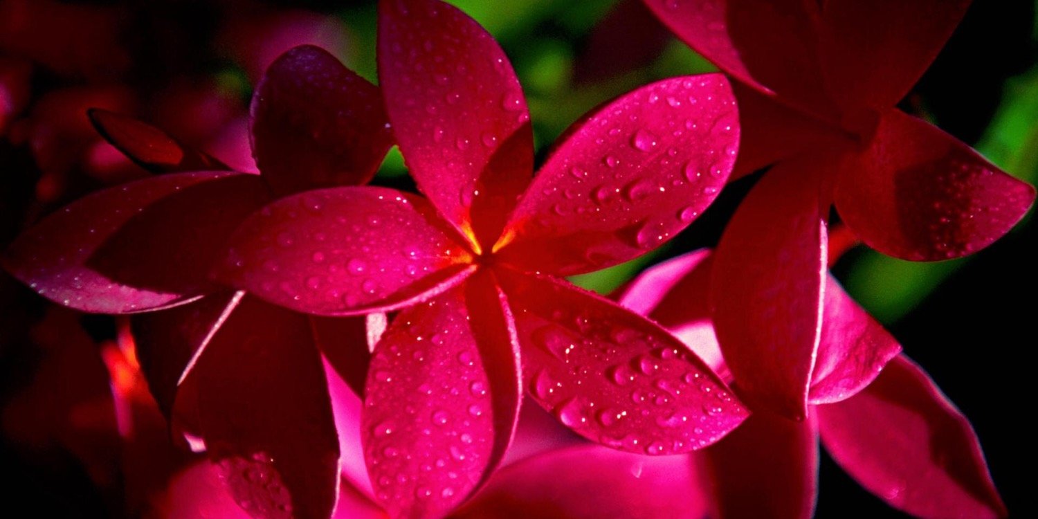 LauraLaherse's profile banner image
