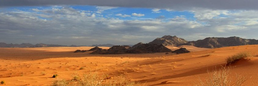 hamadss359's profile banner image