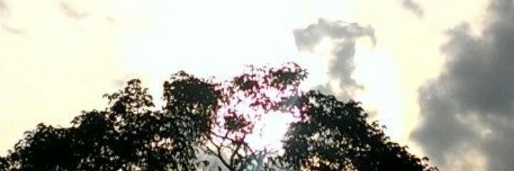 1425_gad's profile banner image