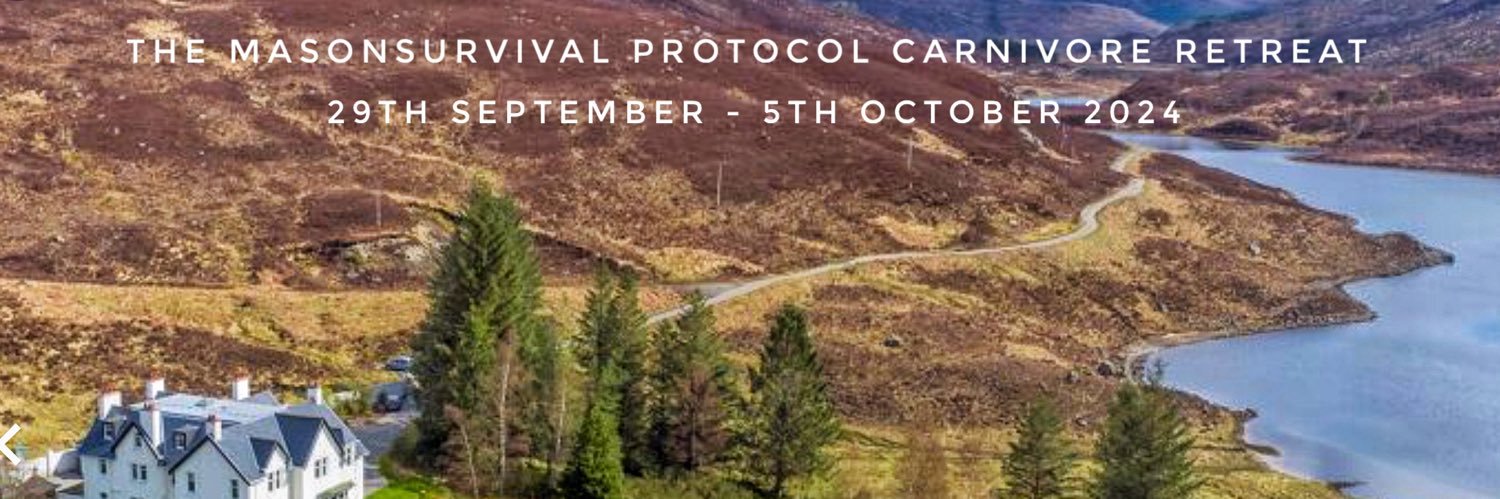 MasonSurvival's profile banner image