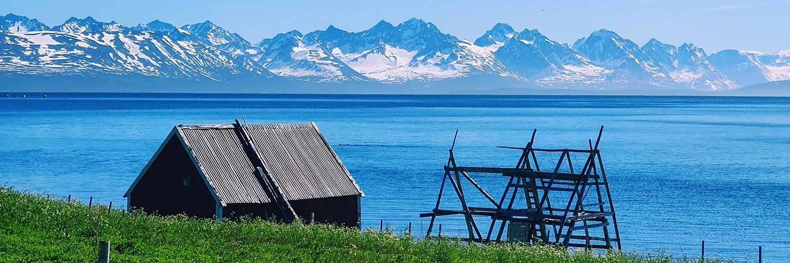 nairbep's profile banner image