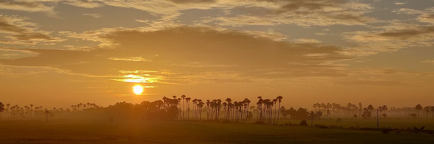 Roopeessh7's profile banner image