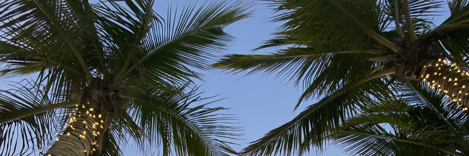 bmlil's profile banner image