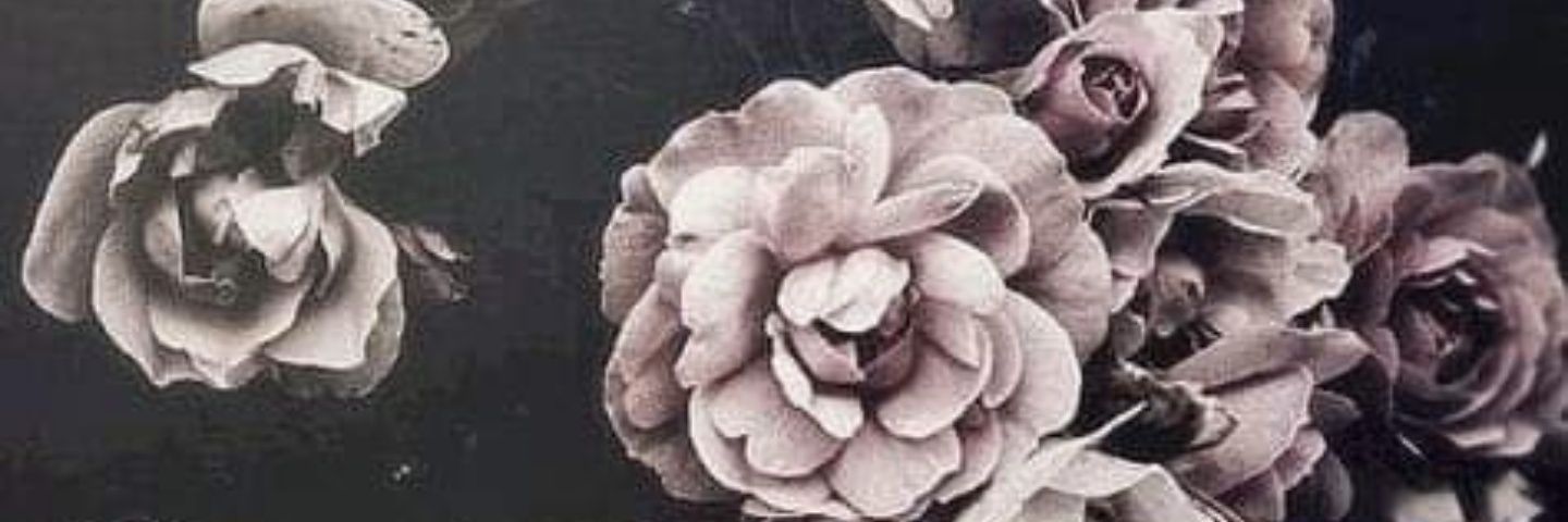 FosterTylar's profile banner image