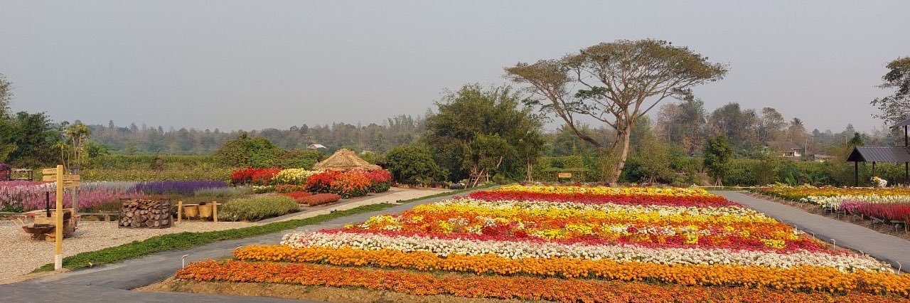 thongpan's profile banner image