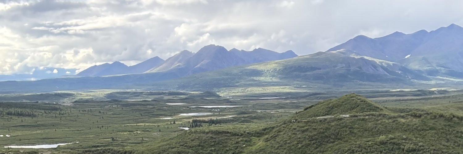 Daniel Winston banner