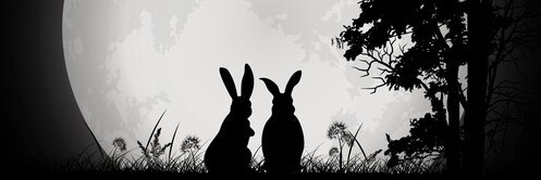 dinosaurs_world's profile banner image