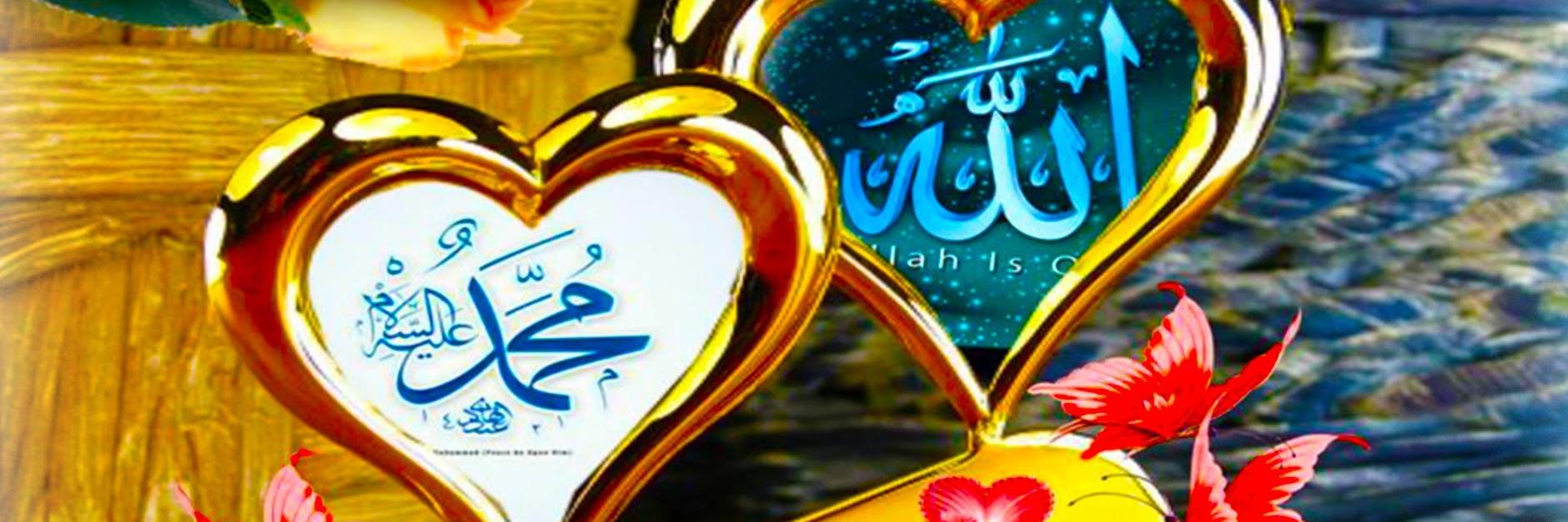 Dheeta's profile banner image