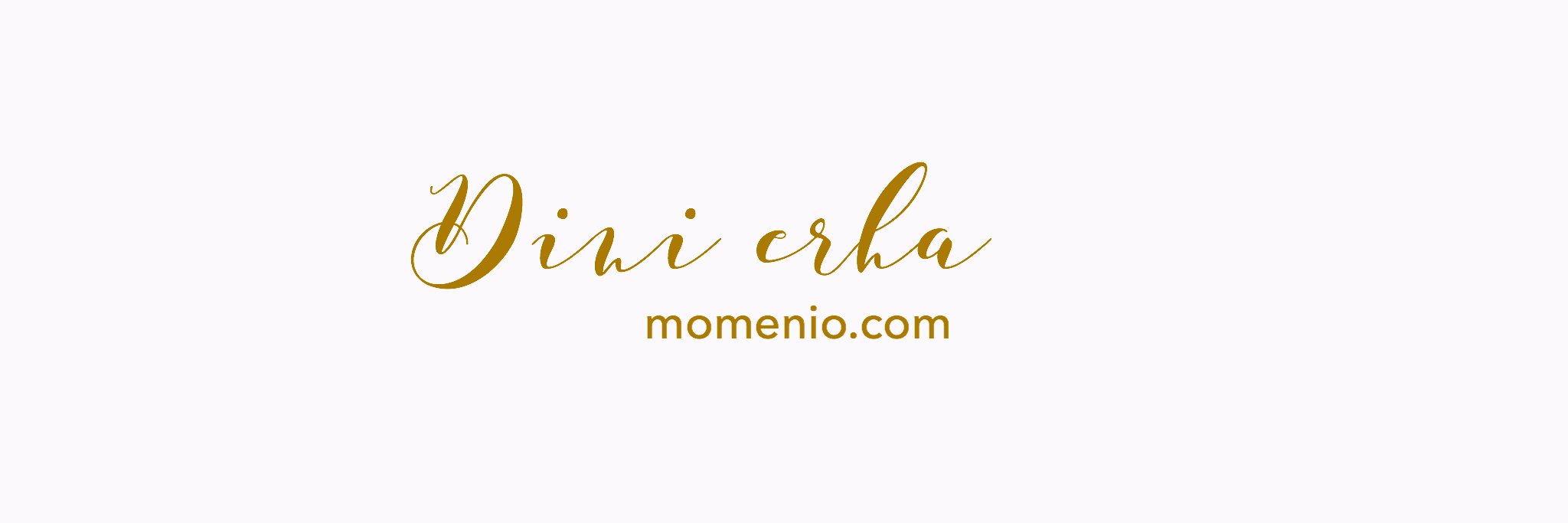 dinierha's profile banner image