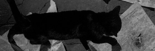 i0i2's profile banner image