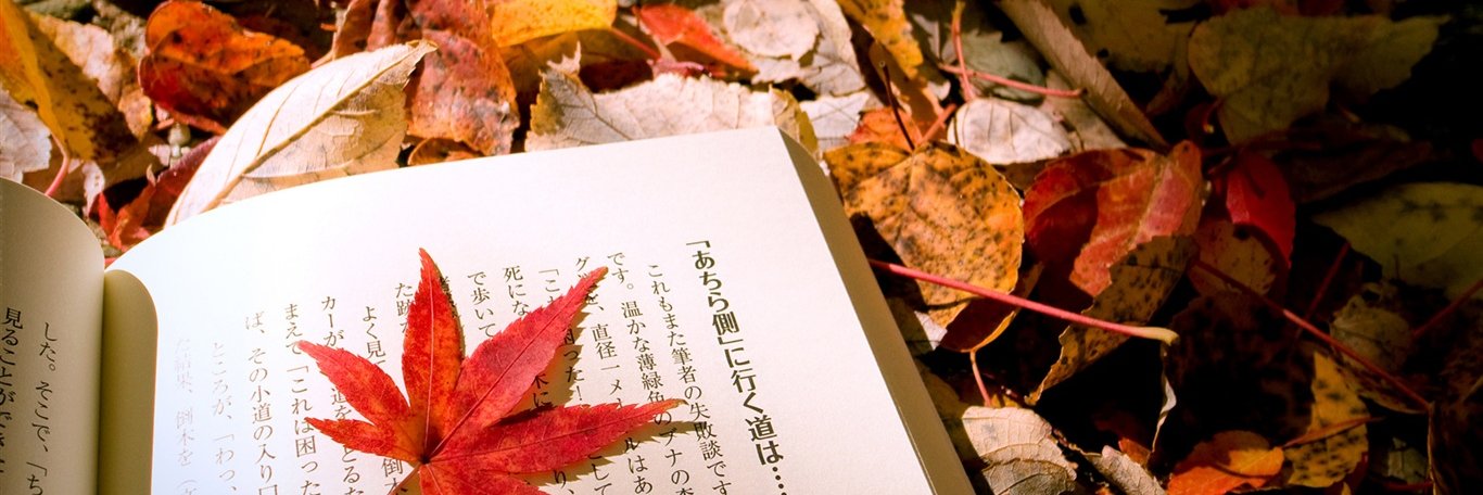 wallie_a's profile banner image