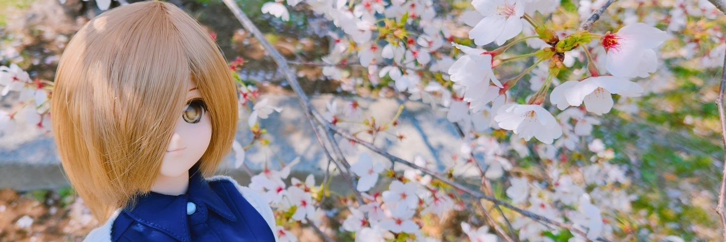 CymNin's profile banner image