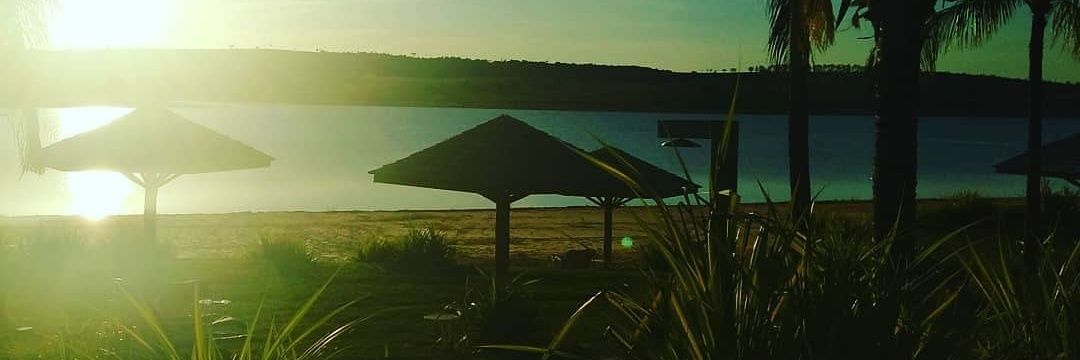 regianejorge's profile banner image