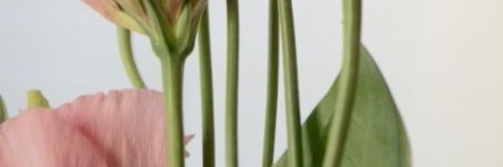 T M banner