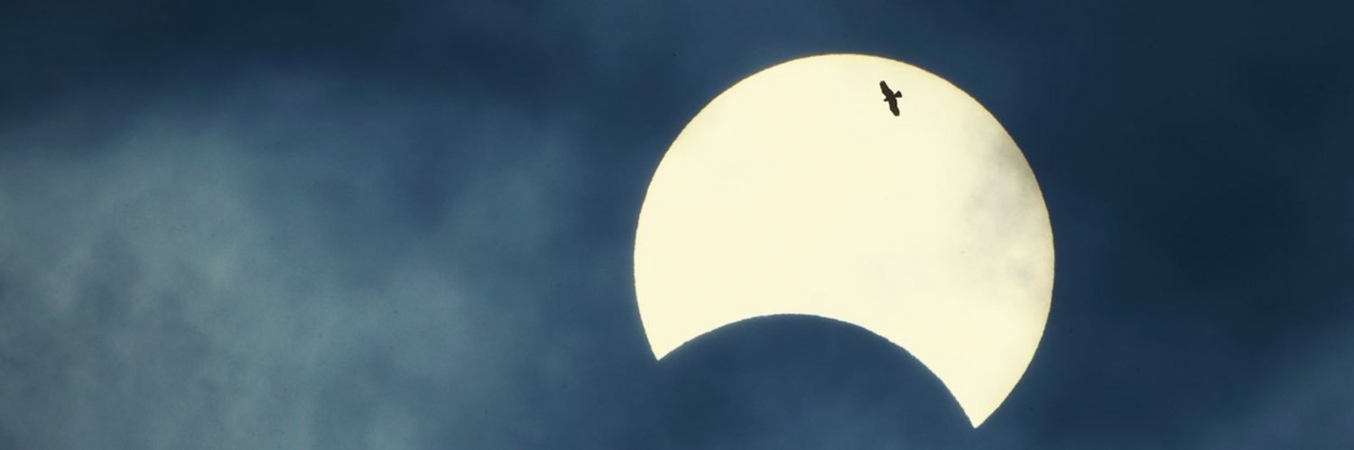 XxxShss's profile banner image
