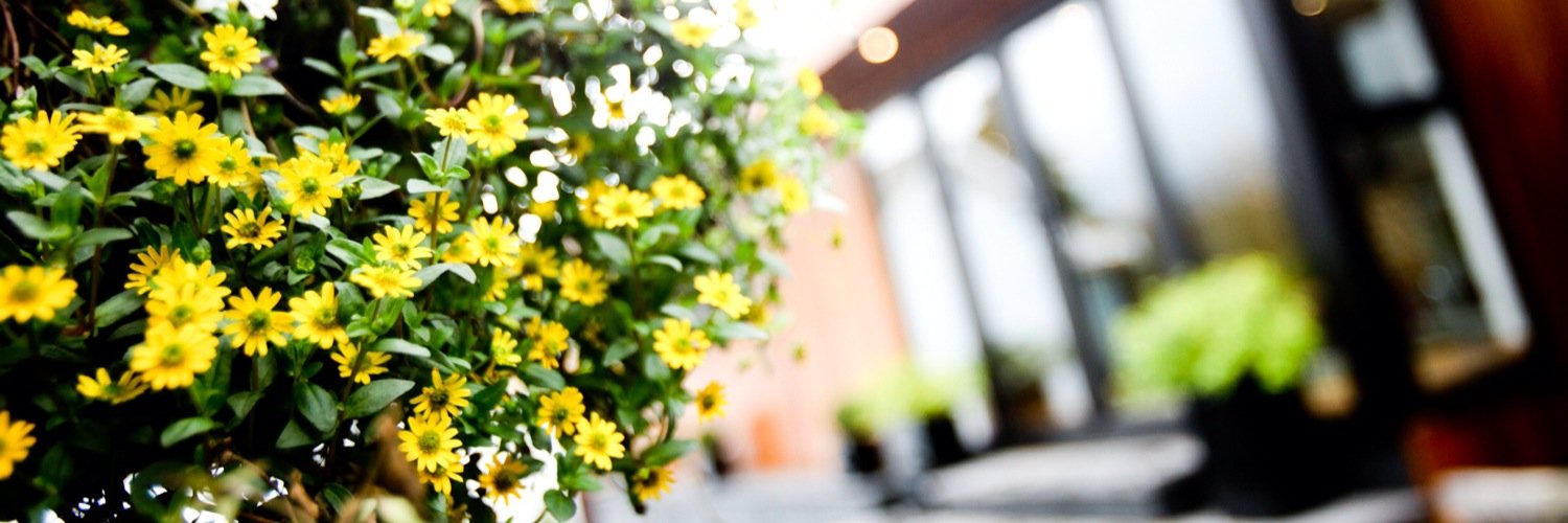 RNN Communications banner