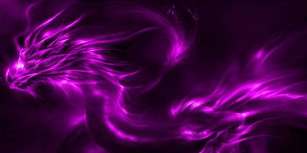 _ALEDRA_'s profile banner image