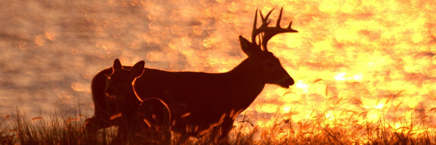 natty185's profile banner image