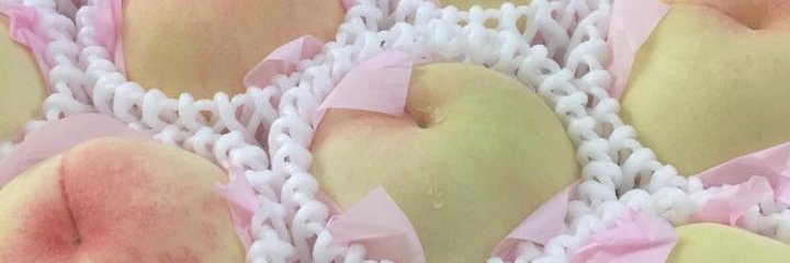 yoshiemon97's profile banner image
