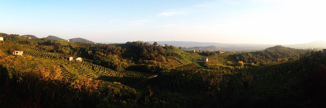 Agostini_G's profile banner image