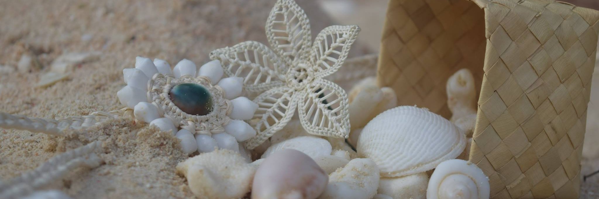 Kristina🌴🌊🐚 banner