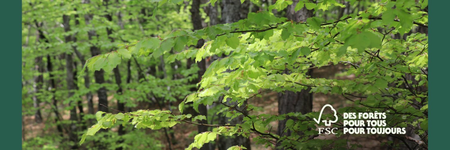 FSC France banner