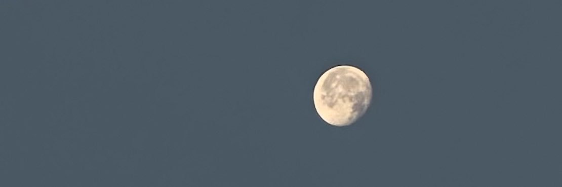 bttrflyluvmoon's profile banner image