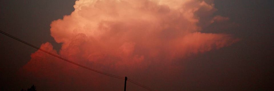 lisasaffronlee's profile banner image