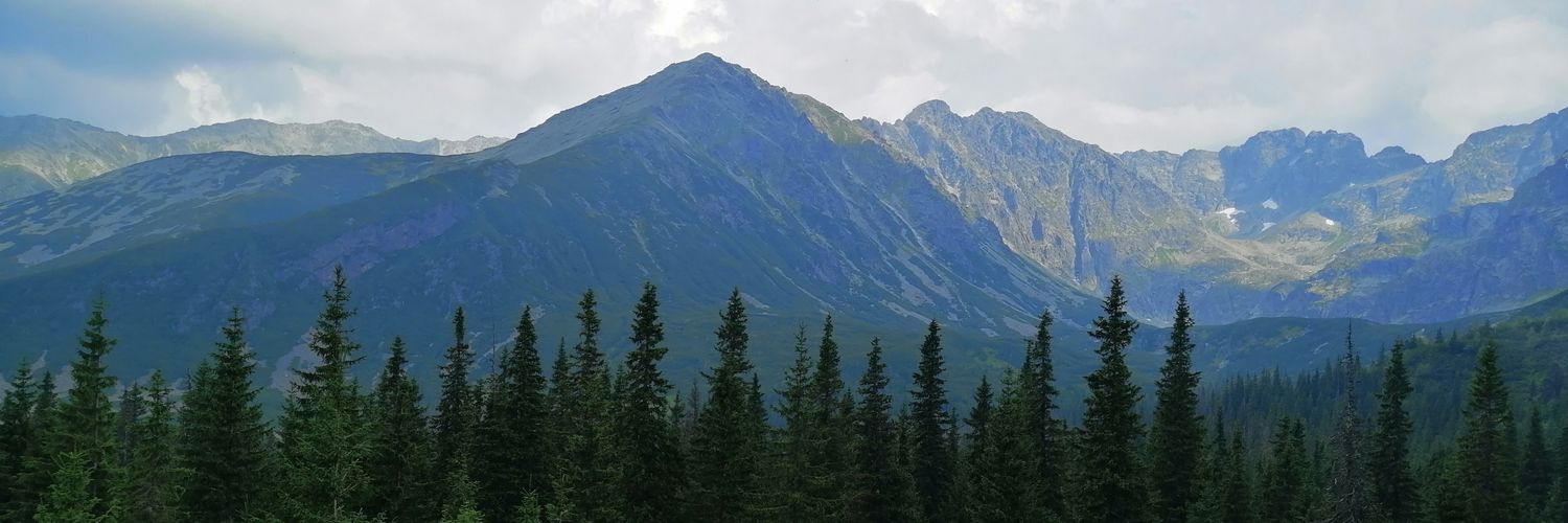 Martín Alcalá Pajares banner