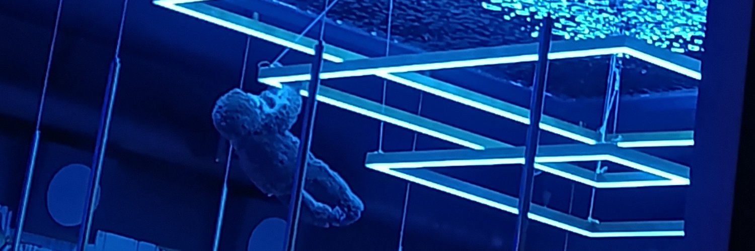 aditu_he's profile banner image