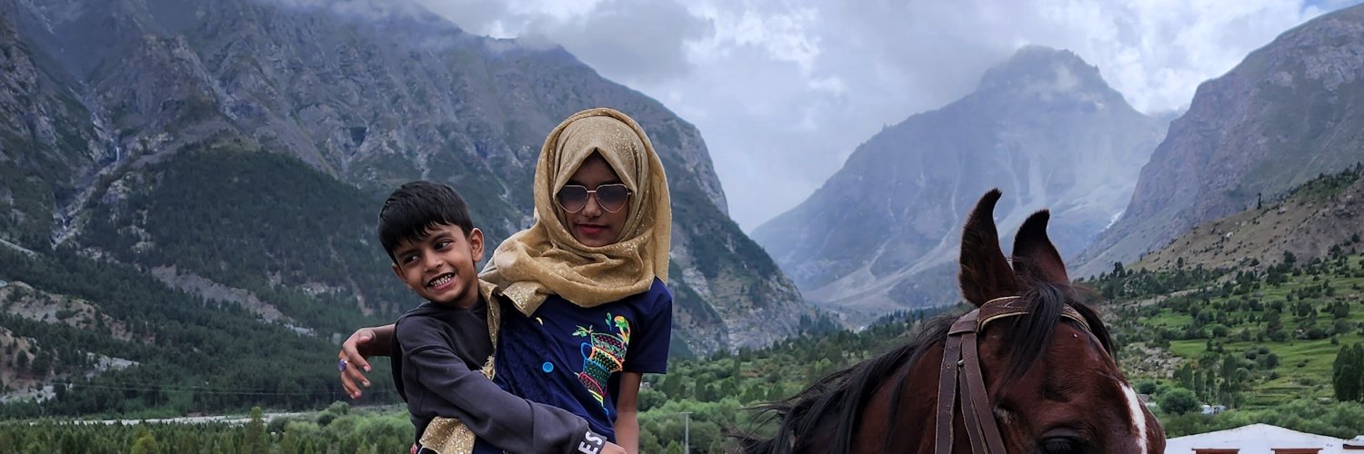 majidalifpk's profile banner image