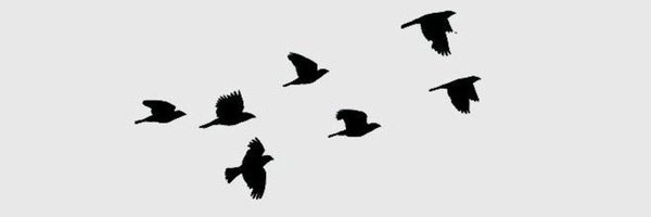 vuIturesstrades Profile Banner