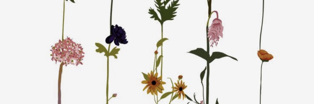 LRoggeman's profile banner image