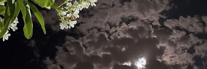  ᵃᵉ banner