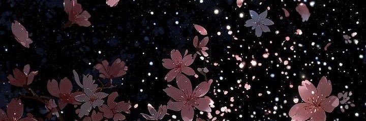 Meta Rosiana banner